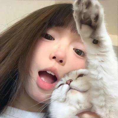 爱你,维克托第二季